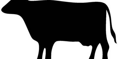 Животные 1957