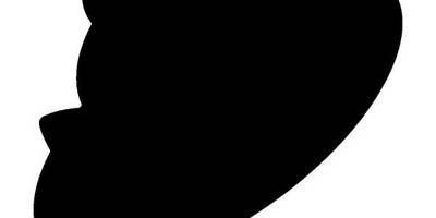 Животные 1953