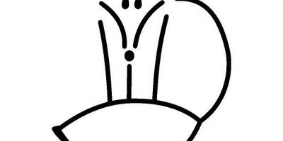 Животные 4163