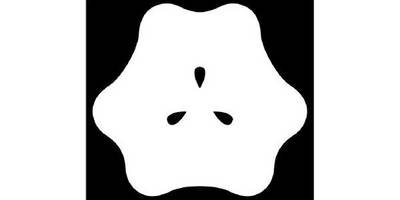 Японский узор 2931