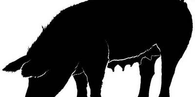 Животные 4049