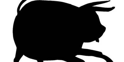 Животные 3439