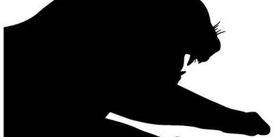 Животные 3106