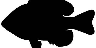 Животные 789