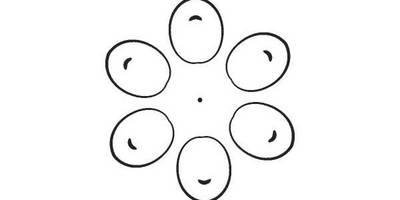 Орнамент цветы 115