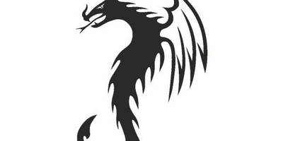 Виниловая наклейка на авто 391