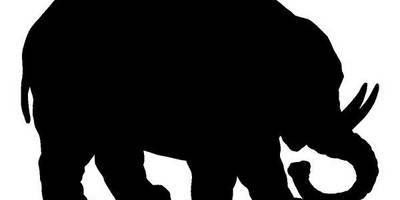 Животные 237