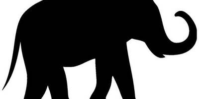 Животные 2173