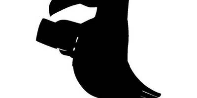 Животные 1569