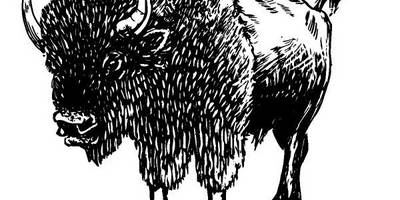 Животные 216