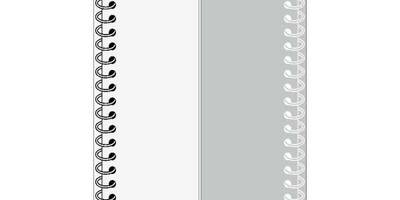 Прямоугольный орнамент 1748