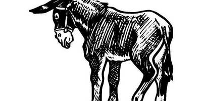 Животные 290