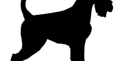 Животные 3122