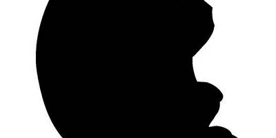 Животные 401