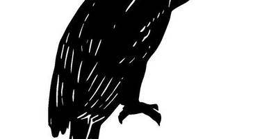 Животные 2872