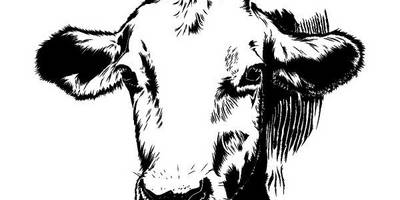 Животные 3346