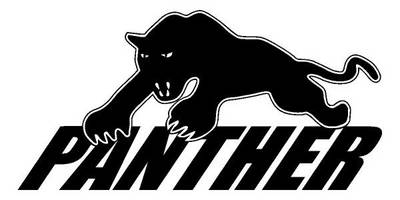 Виниловая наклейка на авто 544