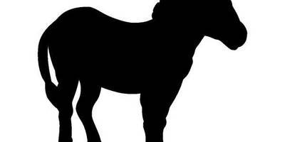 Животные 879