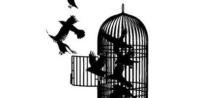 Животные 4087