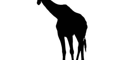 Животные 2244