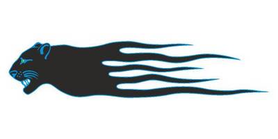 Виниловая наклейка на авто 364