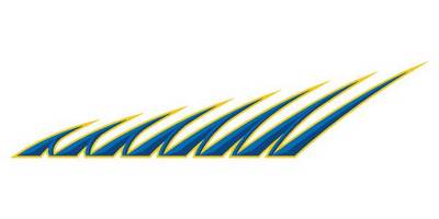 Виниловая наклейка на авто 520