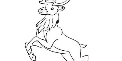 Животные 3939