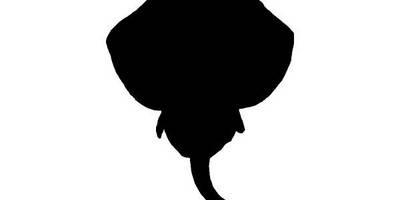 Животные 3320