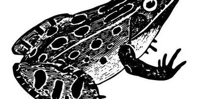 Животные 1002