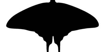 Животные 3740