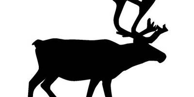 Животные 741