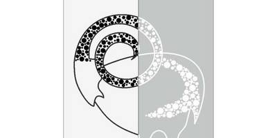 Прямоугольный орнамент 2724