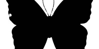 Животные 2196