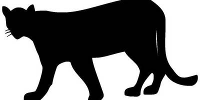 Животные 327