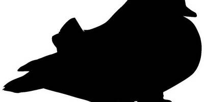 Животные 4145