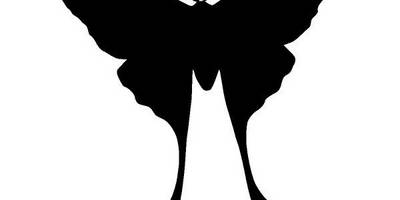 Животные 3240