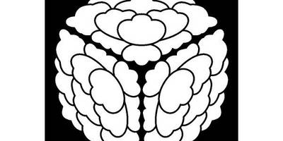 Японский узор 500