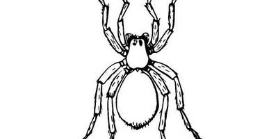 Животные 847