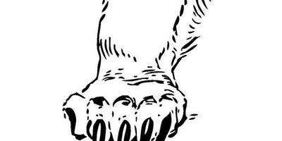 Животные 128