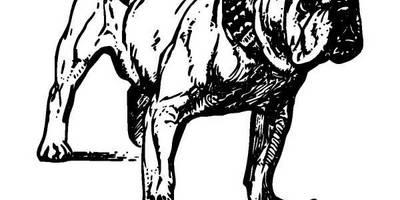 Животные 121