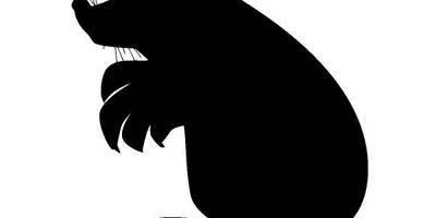 Животные 357