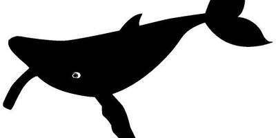 Животные 1367