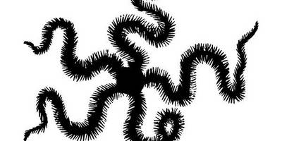 Животные 3846