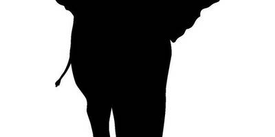 Животные 690