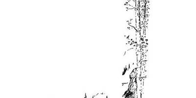 Животные 480