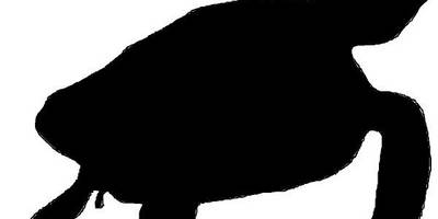 Животные 876