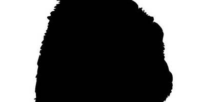 Животные 4321