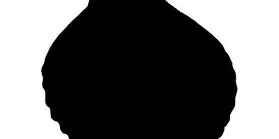 Животные 3905