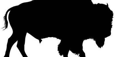 Животные 3509