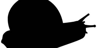 Животные 2366